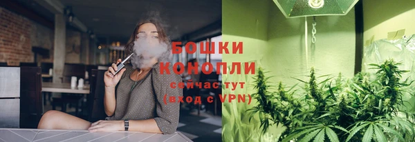 apvp Аркадак