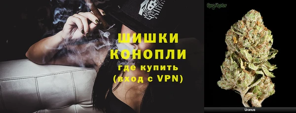 apvp Аркадак