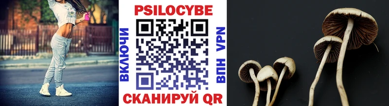 Галлюциногенные грибы Psilocybine cubensis  цена наркотик  Демидов 
